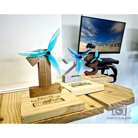 Carrera 2 Agosto - Simulador FPV