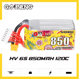 Gaoneng 6S 850mAh 120C 2
